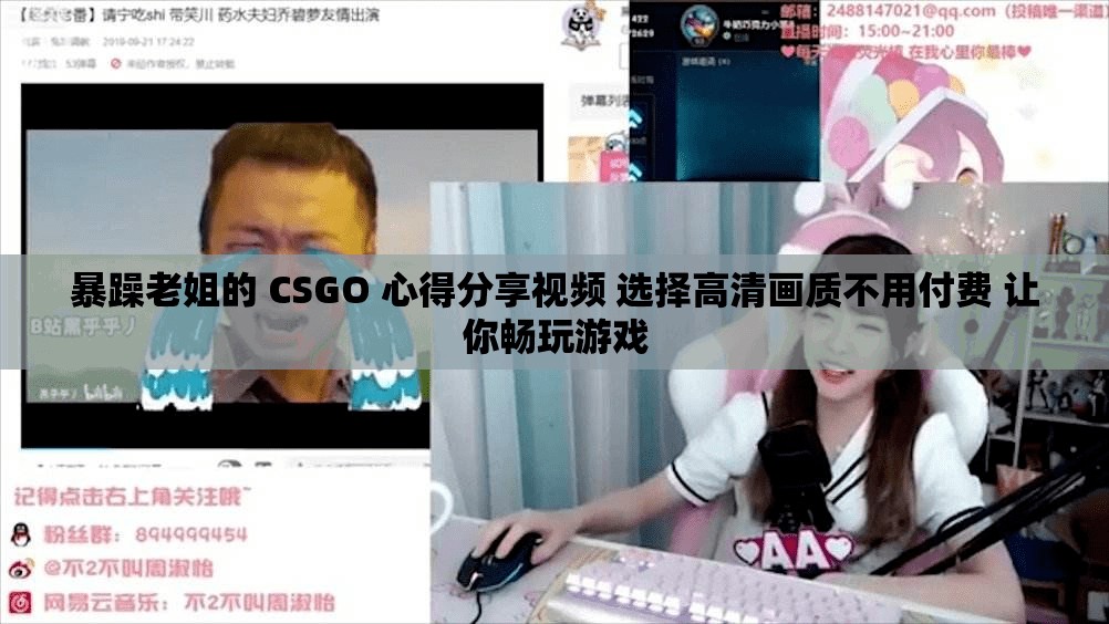 暴躁老姐的 CSGO 心得分享视频 选择高清画质不用付费 让你畅玩游戏