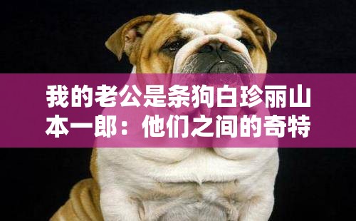 我的老公是条狗白珍丽山本一郎：他们之间的奇特故事
