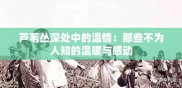芦苇丛深处中的温情：那些不为人知的温暖与感动