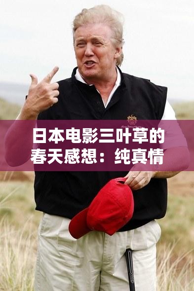 日本电影三叶草的春天感想：纯真情感的温暖触动