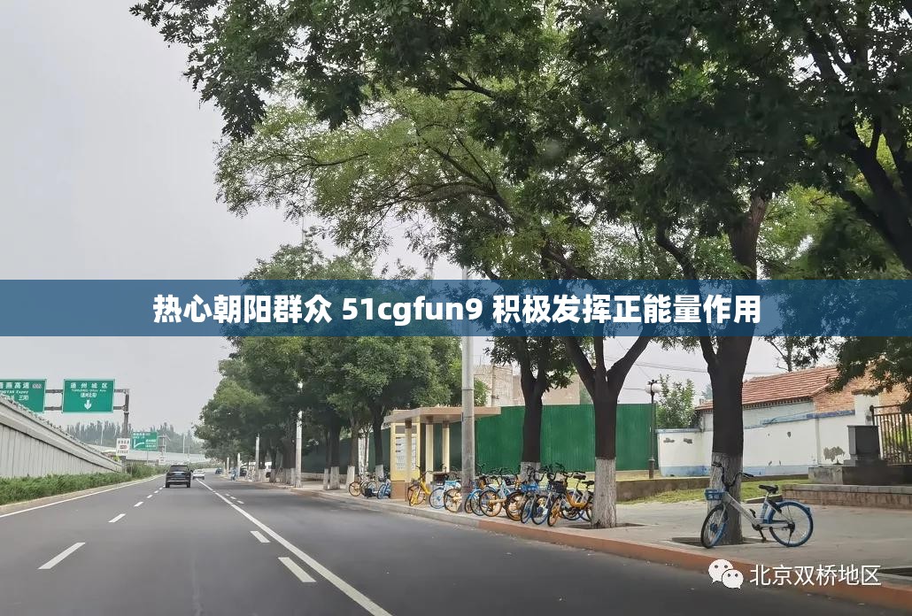 热心朝阳群众 51cgfun9 积极发挥正能量作用