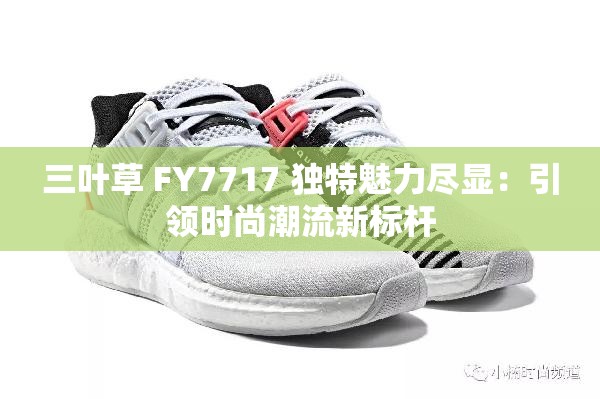 三叶草 FY7717 独特魅力尽显：引领时尚潮流新标杆