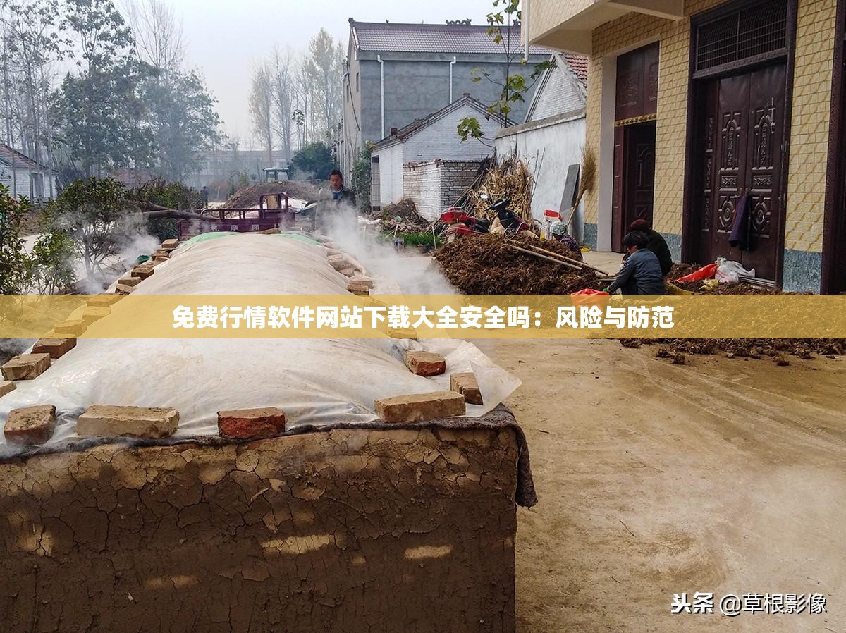 免费行情软件网站下载大全安全吗：风险与防范