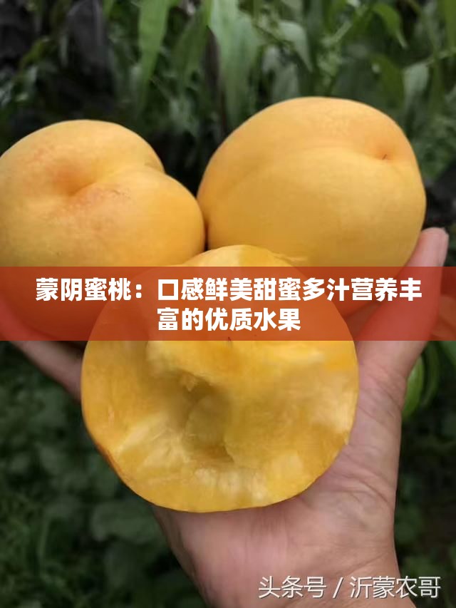 蒙阴蜜桃：口感鲜美甜蜜多汁营养丰富的优质水果