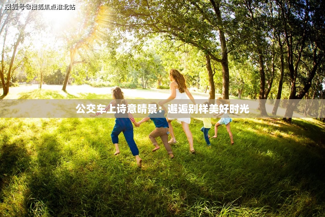 公交车上诗意晴景：邂逅别样美好时光