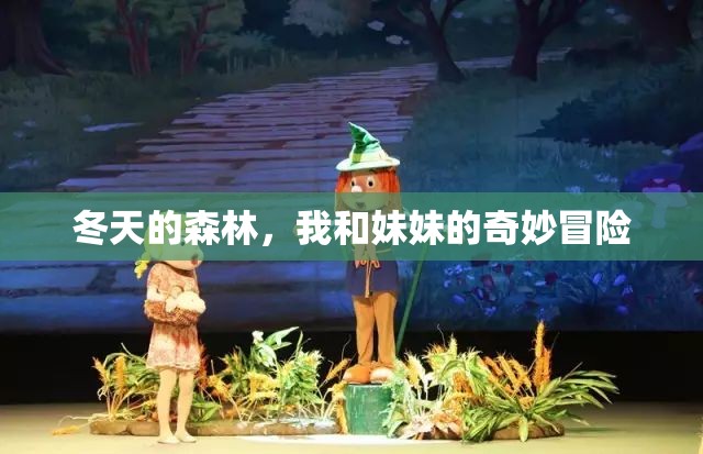 冬天的森林，我和妹妹的奇妙冒险