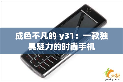 成色不凡的 y31：一款独具魅力的时尚手机