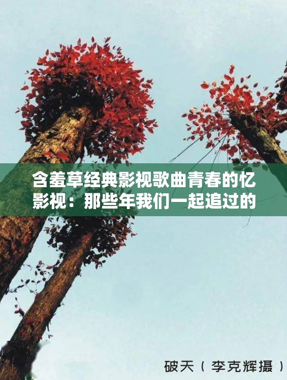 含羞草经典影视歌曲青春的忆影视：那些年我们一起追过的美好