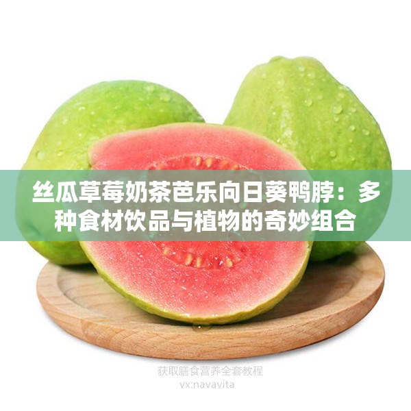 丝瓜草莓奶茶芭乐向日葵鸭脖：多种食材饮品与植物的奇妙组合
