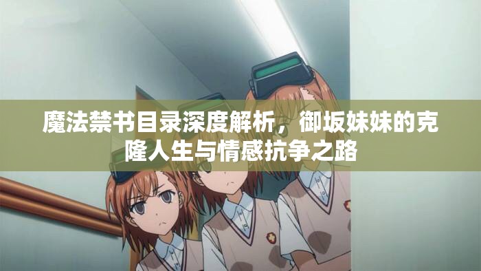 魔法禁书目录深度解析，御坂妹妹的克隆人生与情感抗争之路