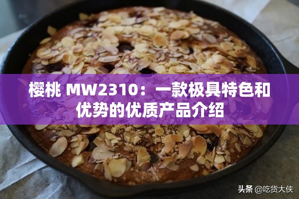 樱桃 MW2310：一款极具特色和优势的优质产品介绍