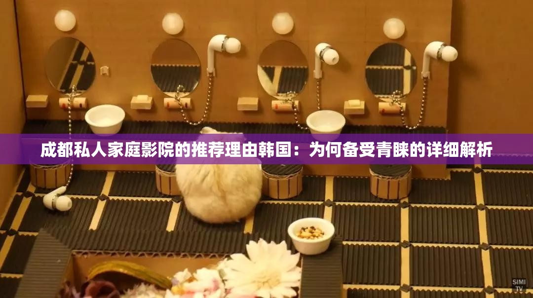 成都私人家庭影院的推荐理由韩国：为何备受青睐的详细解析