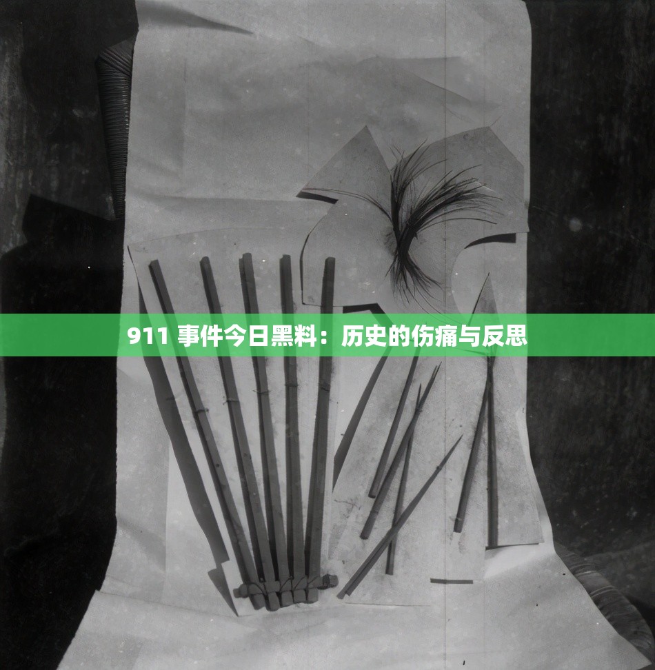 911 事件今日黑料：历史的伤痛与反思