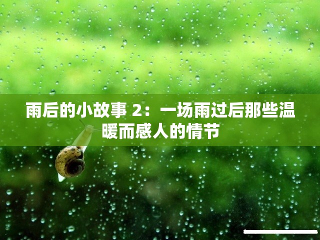 雨后的小故事 2：一场雨过后那些温暖而感人的情节