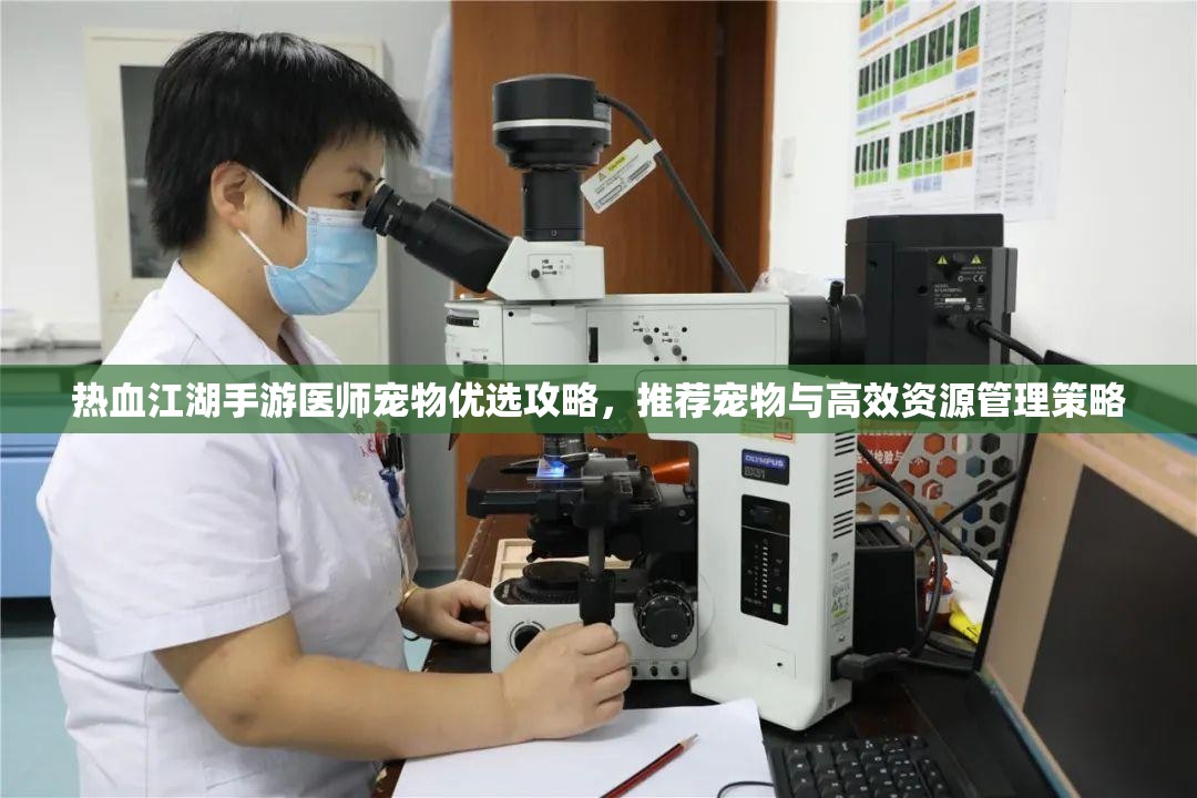 热血江湖手游医师宠物优选攻略，推荐宠物与高效资源管理策略