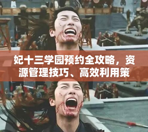 妃十三学园预约全攻略，资源管理技巧、高效利用策略及最大化价值方法