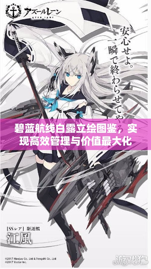 碧蓝航线白露立绘图鉴，实现高效管理与价值最大化的深度探索指南