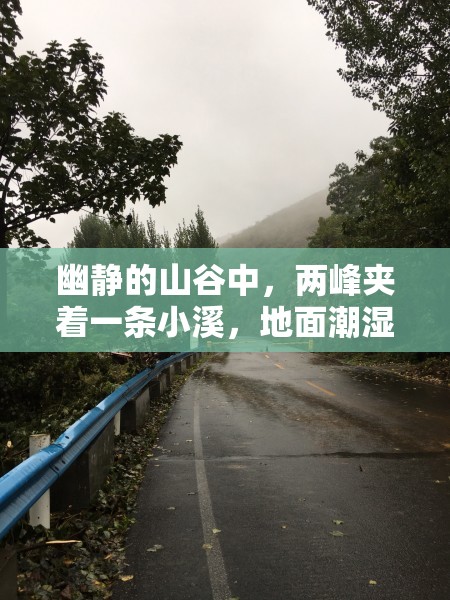 幽静的山谷中，两峰夹着一条小溪，地面潮湿，没有泥泞