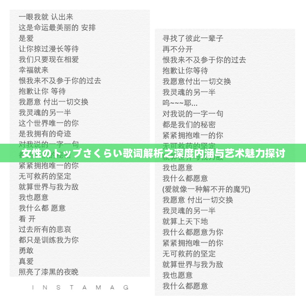 女性のトップさくらい歌词解析之深度内涵与艺术魅力探讨