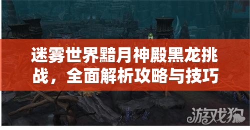 迷雾世界黯月神殿黑龙挑战，全面解析攻略与技巧指南