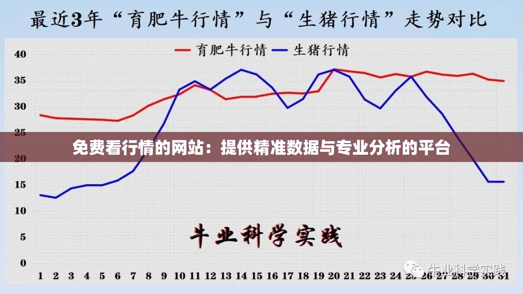 免费看行情的网站：提供精准数据与专业分析的平台