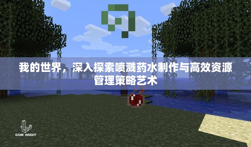 我的世界，深入探索喷溅药水制作与高效资源管理策略艺术