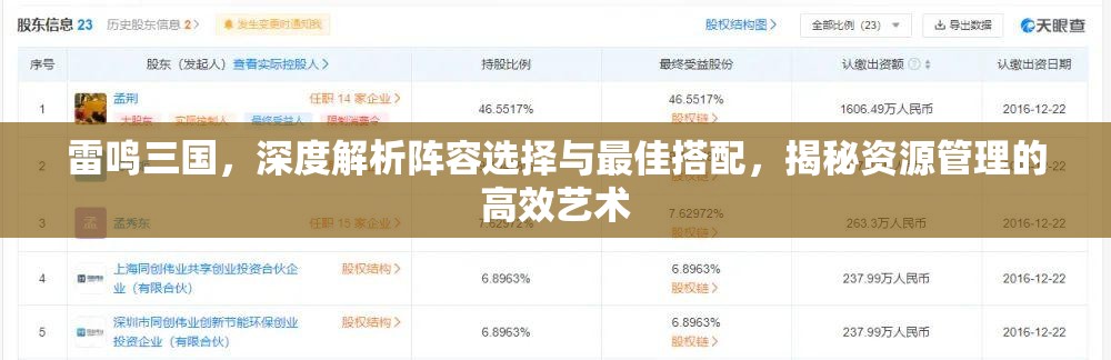 雷鸣三国，深度解析阵容选择与最佳搭配，揭秘资源管理的高效艺术