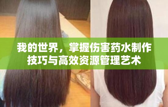 我的世界，掌握伤害药水制作技巧与高效资源管理艺术