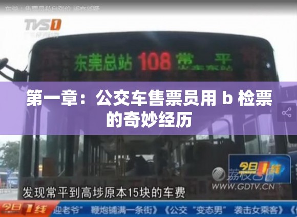 第一章：公交车售票员用 b 检票的奇妙经历