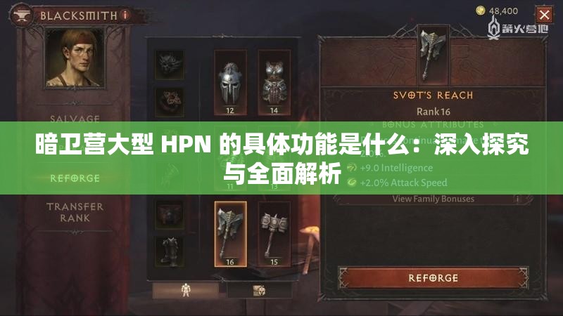 暗卫营大型 HPN 的具体功能是什么：深入探究与全面解析
