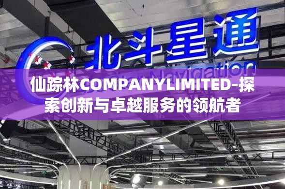 仙踪林COMPANYLIMITED-探索创新与卓越服务的领航者