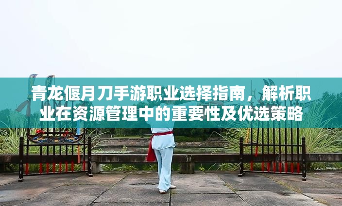 青龙偃月刀手游职业选择指南，解析职业在资源管理中的重要性及优选策略