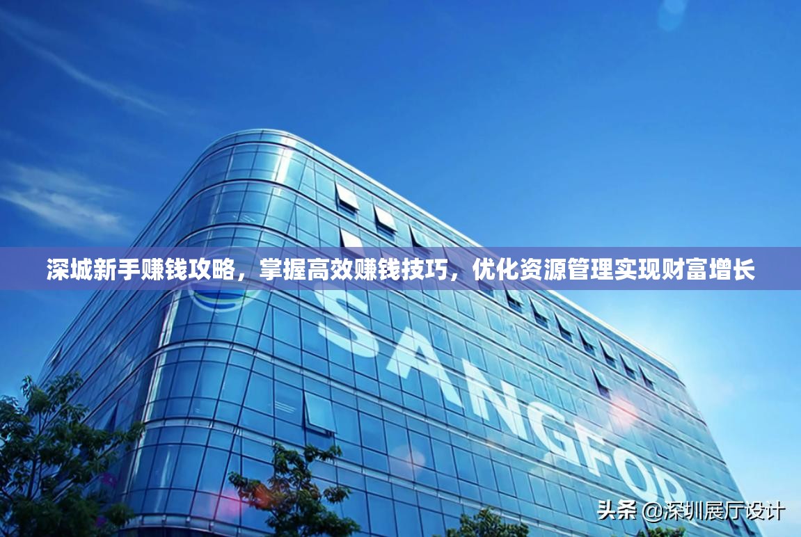 深城新手赚钱攻略，掌握高效赚钱技巧，优化资源管理实现财富增长