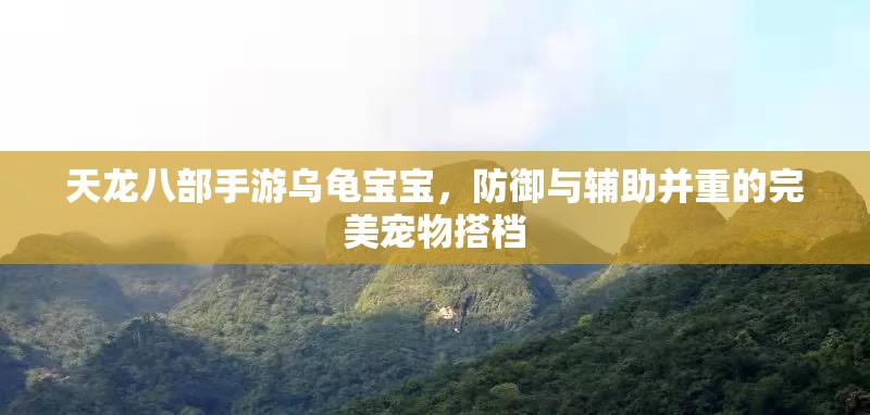 天龙八部手游乌龟宝宝，防御与辅助并重的完美宠物搭档