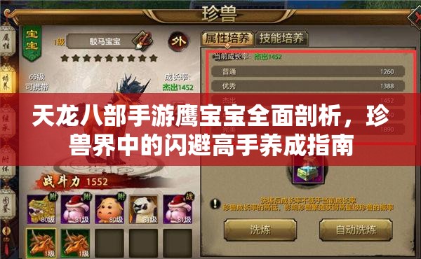 天龙八部手游鹰宝宝全面剖析，珍兽界中的闪避高手养成指南