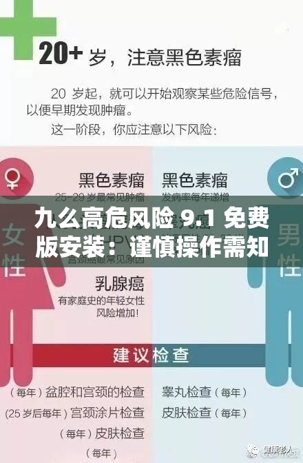 九么高危风险 9.1 免费版安装：谨慎操作需知