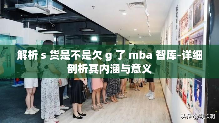 解析 s 货是不是欠 g 了 mba 智库-详细剖析其内涵与意义