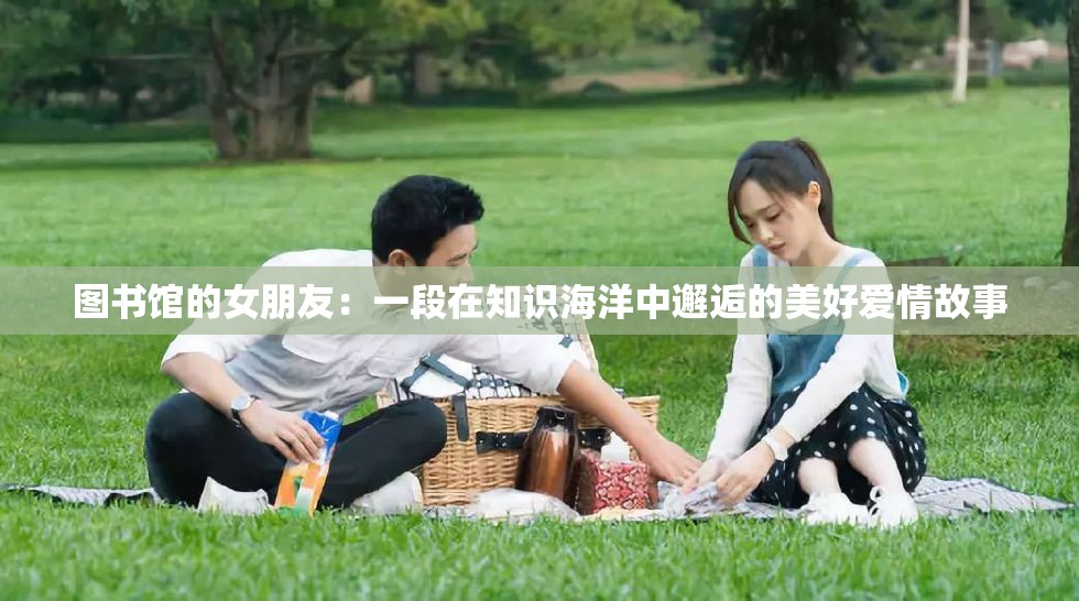 图书馆的女朋友：一段在知识海洋中邂逅的美好爱情故事