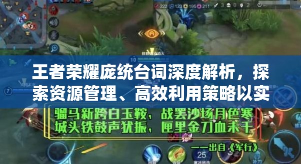 王者荣耀庞统台词深度解析，探索资源管理、高效利用策略以实现价值最大化