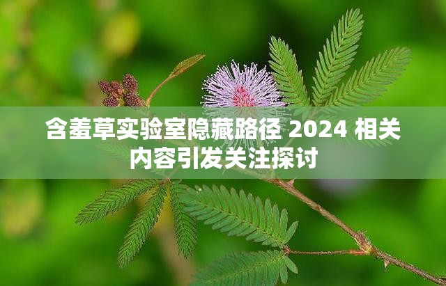 含羞草实验室隐藏路径 2024 相关内容引发关注探讨