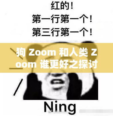 狗 Zoom 和人类 Zoom 谁更好之探讨