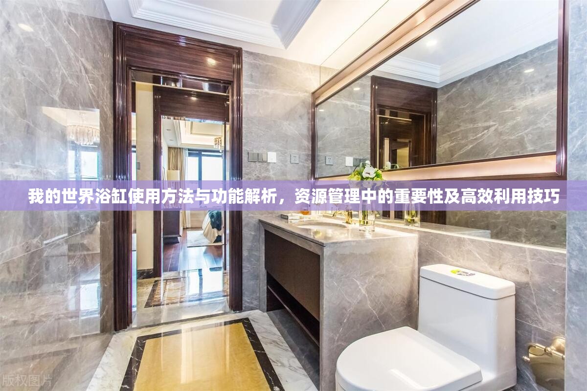 我的世界浴缸使用方法与功能解析，资源管理中的重要性及高效利用技巧
