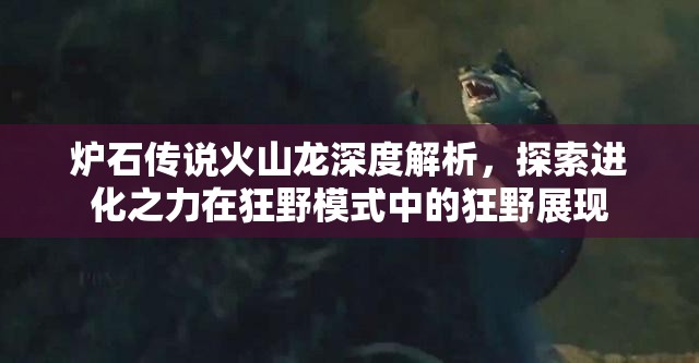 炉石传说火山龙深度解析，探索进化之力在狂野模式中的狂野展现