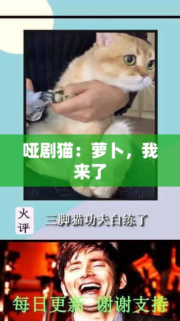 哑剧猫：萝卜，我来了