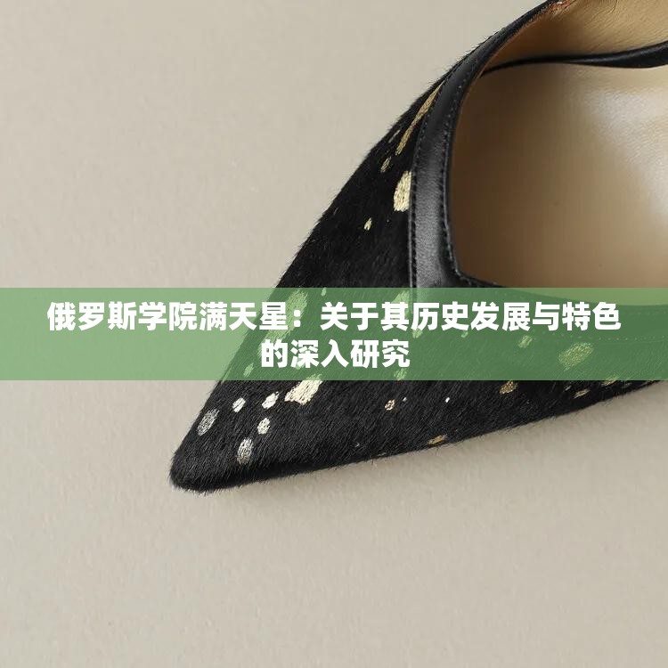 俄罗斯学院满天星：关于其历史发展与特色的深入研究