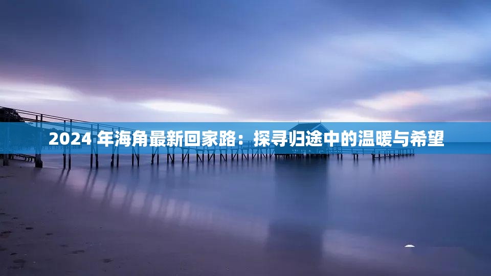 2024 年海角最新回家路：探寻归途中的温暖与希望