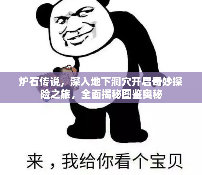 炉石传说，深入地下洞穴开启奇妙探险之旅，全面揭秘图鉴奥秘