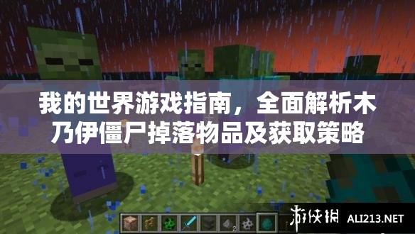 我的世界游戏指南，全面解析木乃伊僵尸掉落物品及获取策略