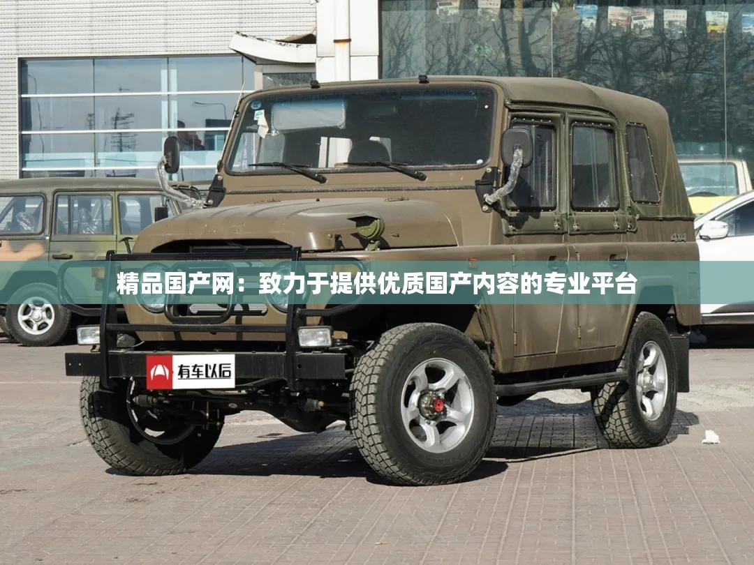 精品国产网：致力于提供优质国产内容的专业平台