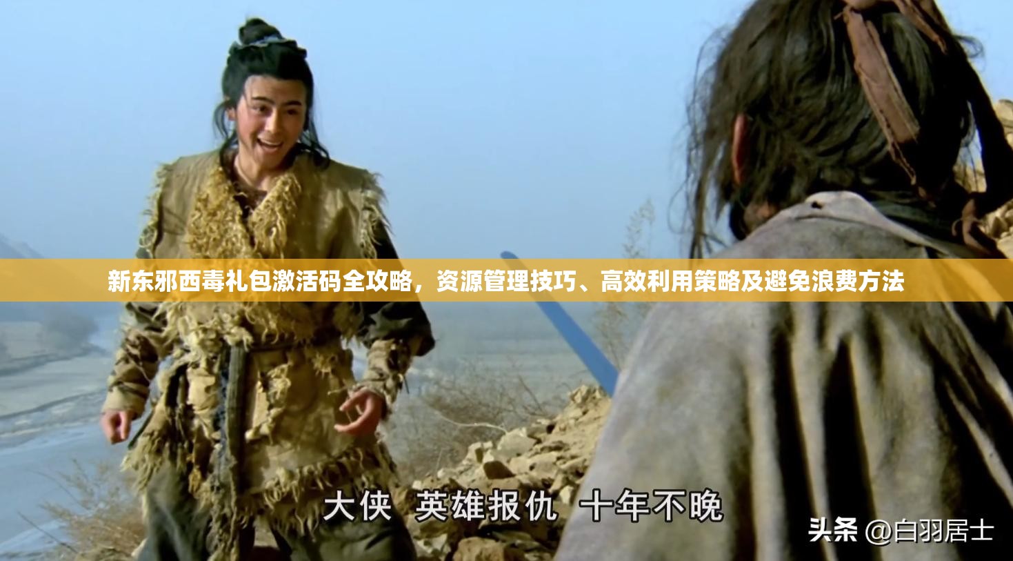 新东邪西毒礼包激活码全攻略，资源管理技巧、高效利用策略及避免浪费方法